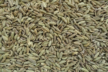 Fennel Seed